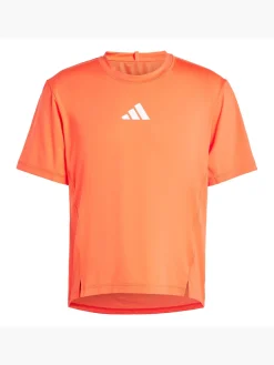 Herren adidas Adapt Workout T-Shirt