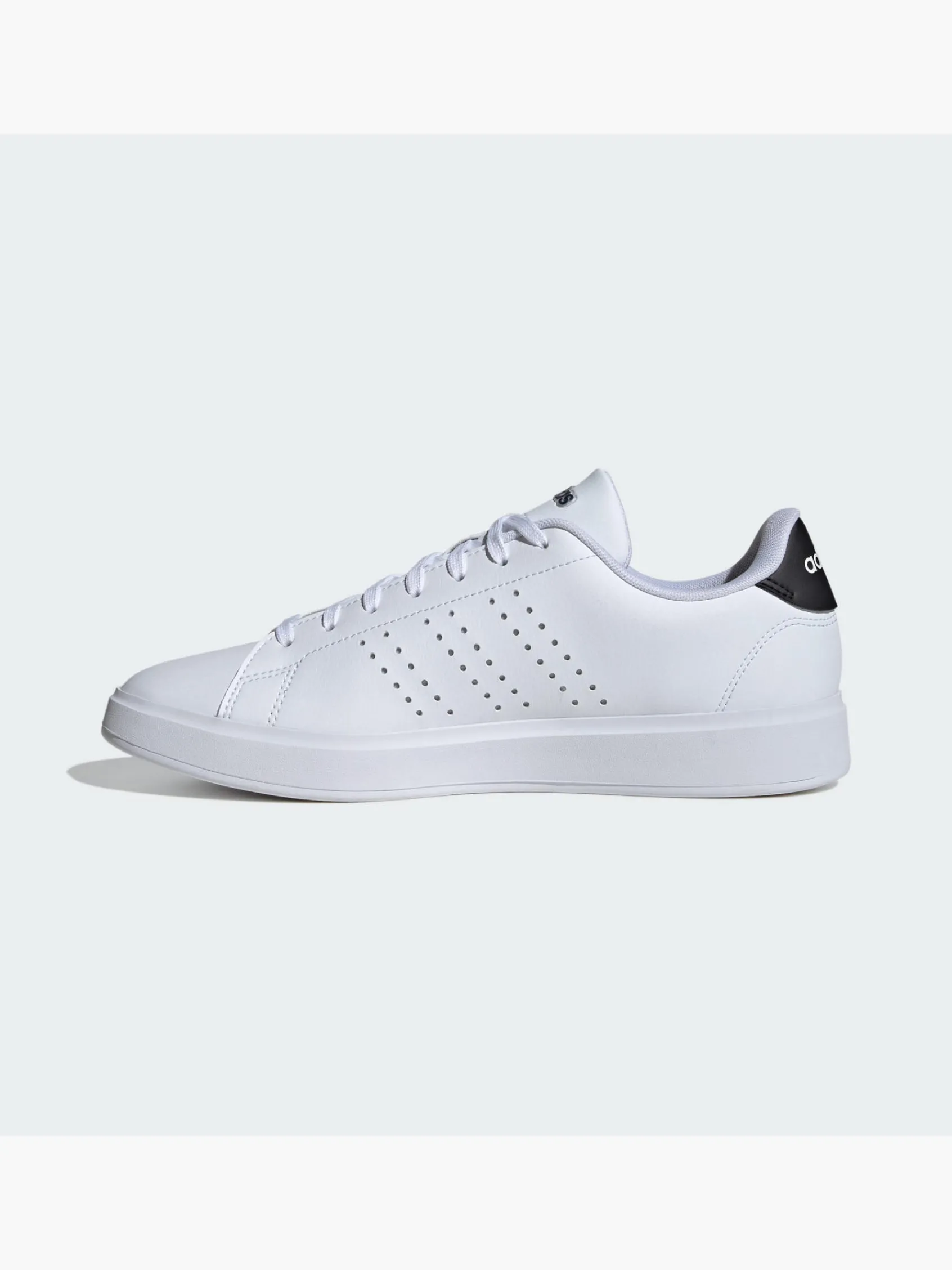 Herren adidas Advantage 2.0 Schuh