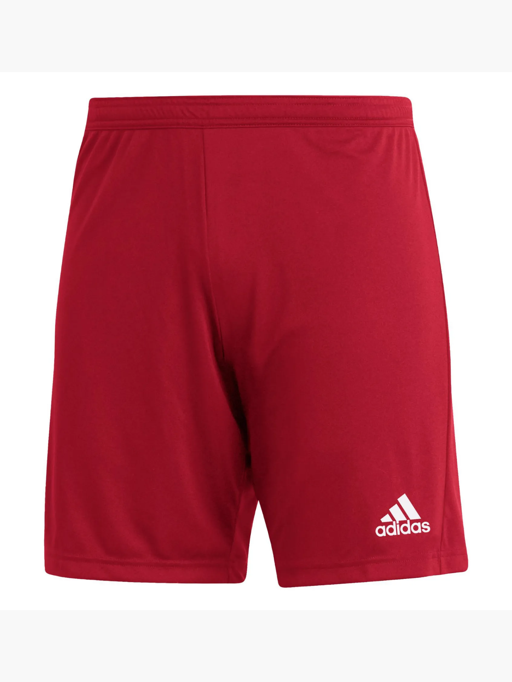 Herren adidas Entrada 22 Shorts