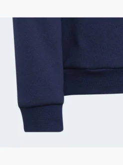 Kinder adidas Entrada 22 Sweatshirt