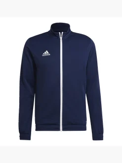 Herren adidas Entrada 22 Trainingsjacke