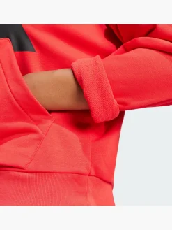 Damen adidas Essentials Big Logo French Terry Loose Hoodie