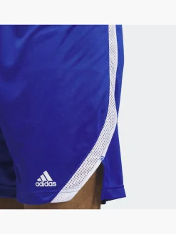 Herren adidas Icon Squad Shorts