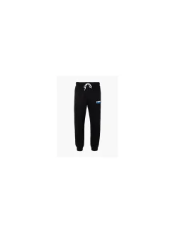 Herren Champion Jogginghose
