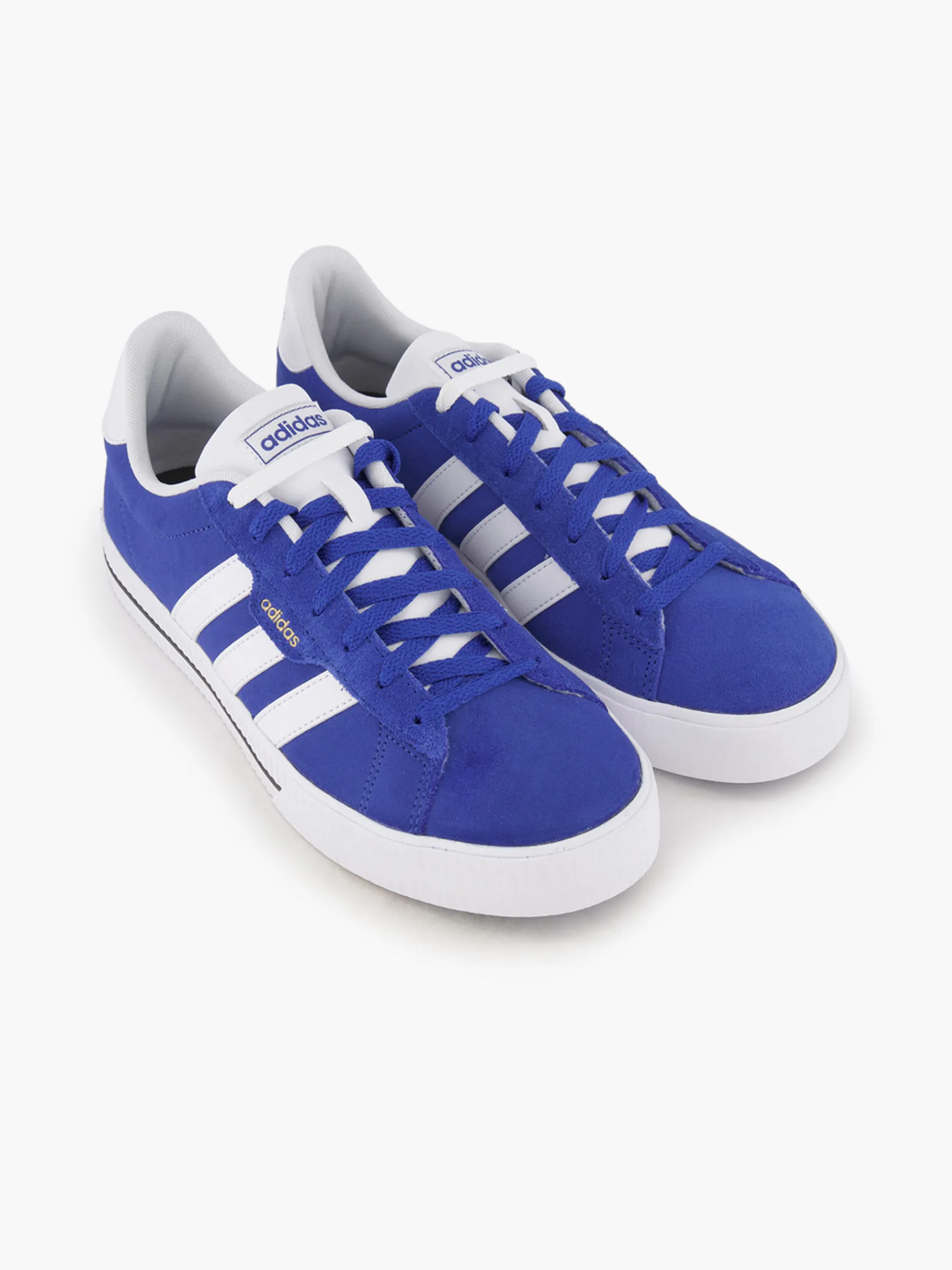Herren adidas Leder Sneaker DAILY 3.0