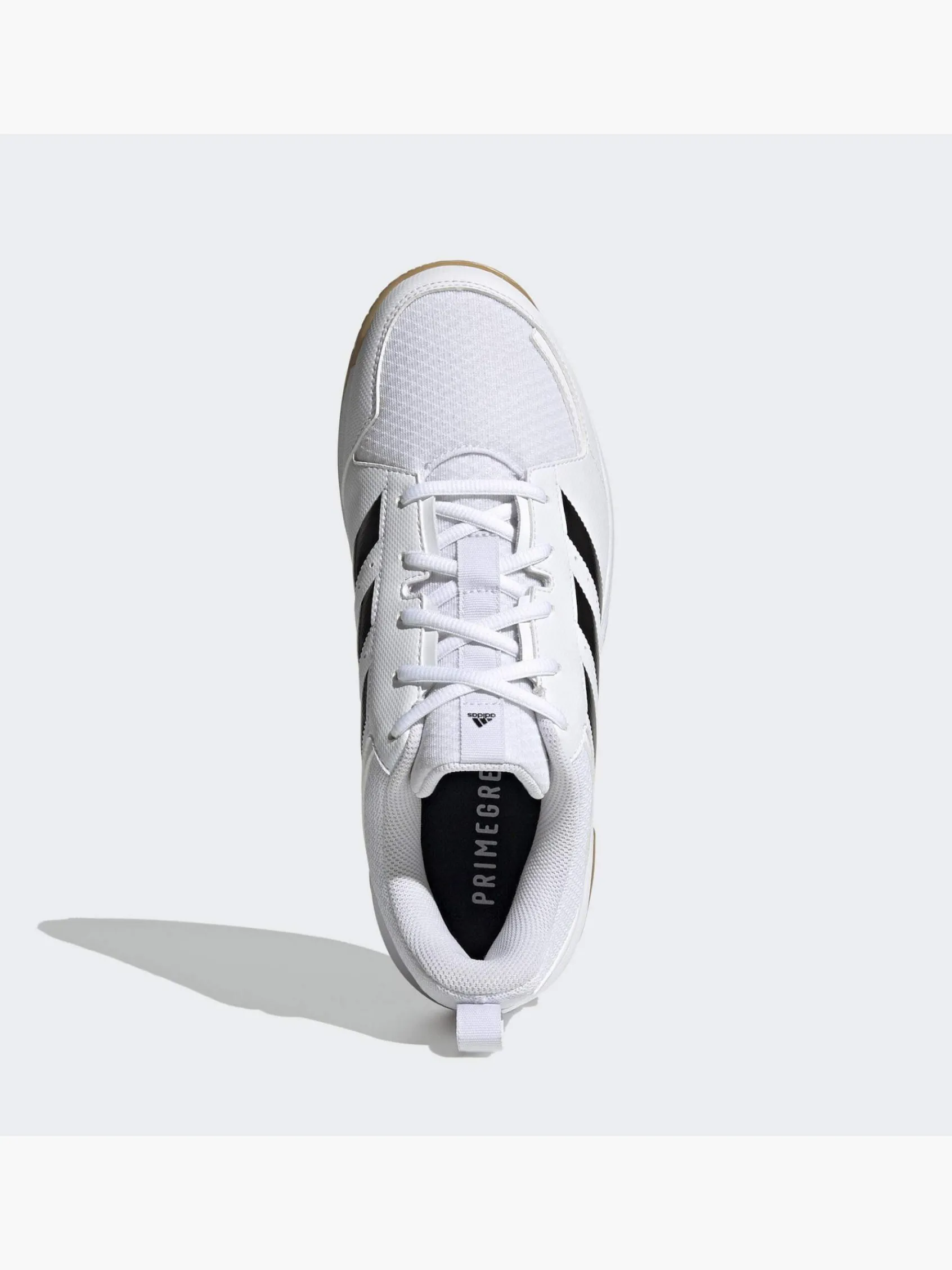 Damen adidas Ligra 7 Indoor Schuh