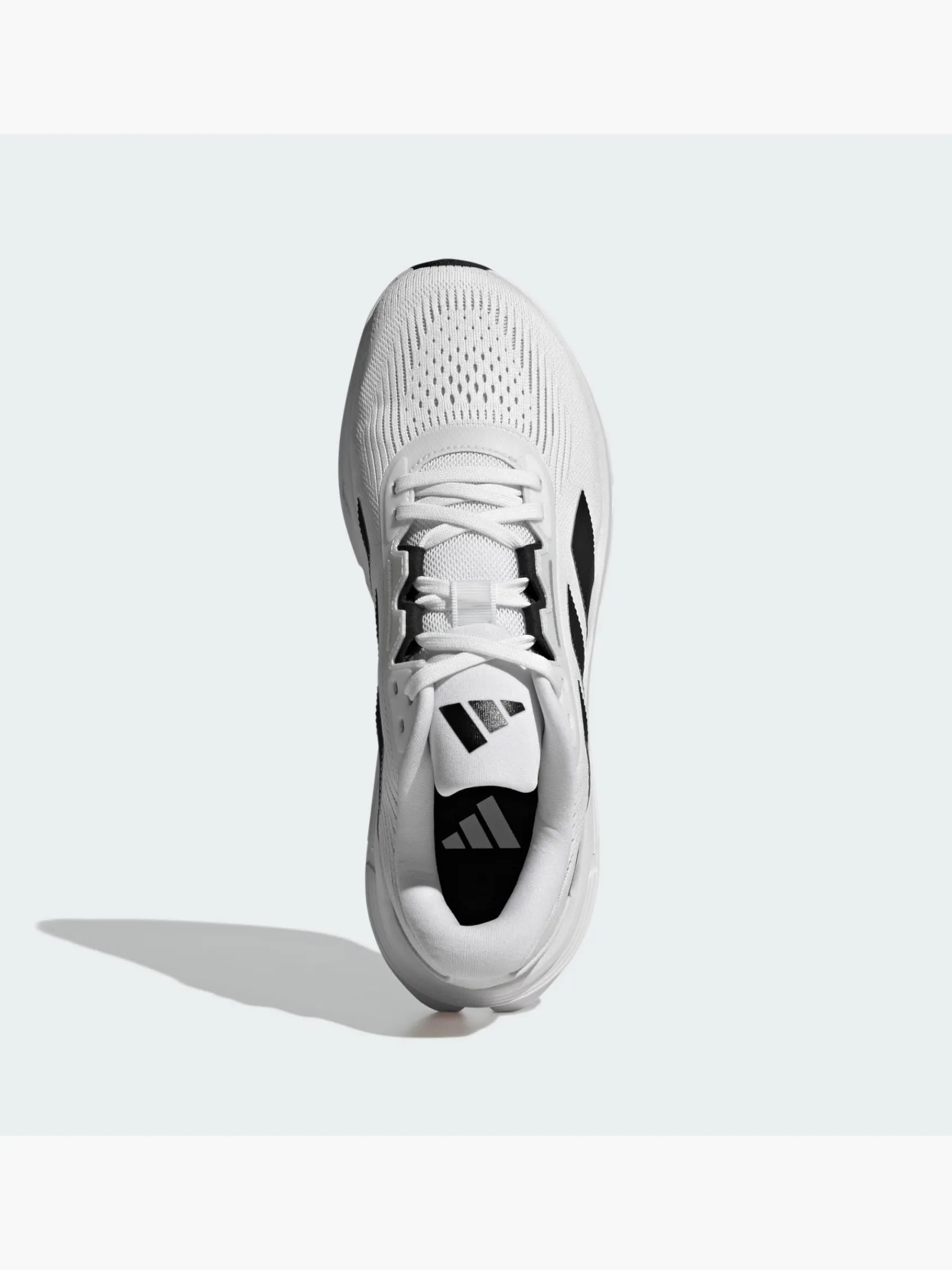 Herren adidas Questar 3 Laufschuh