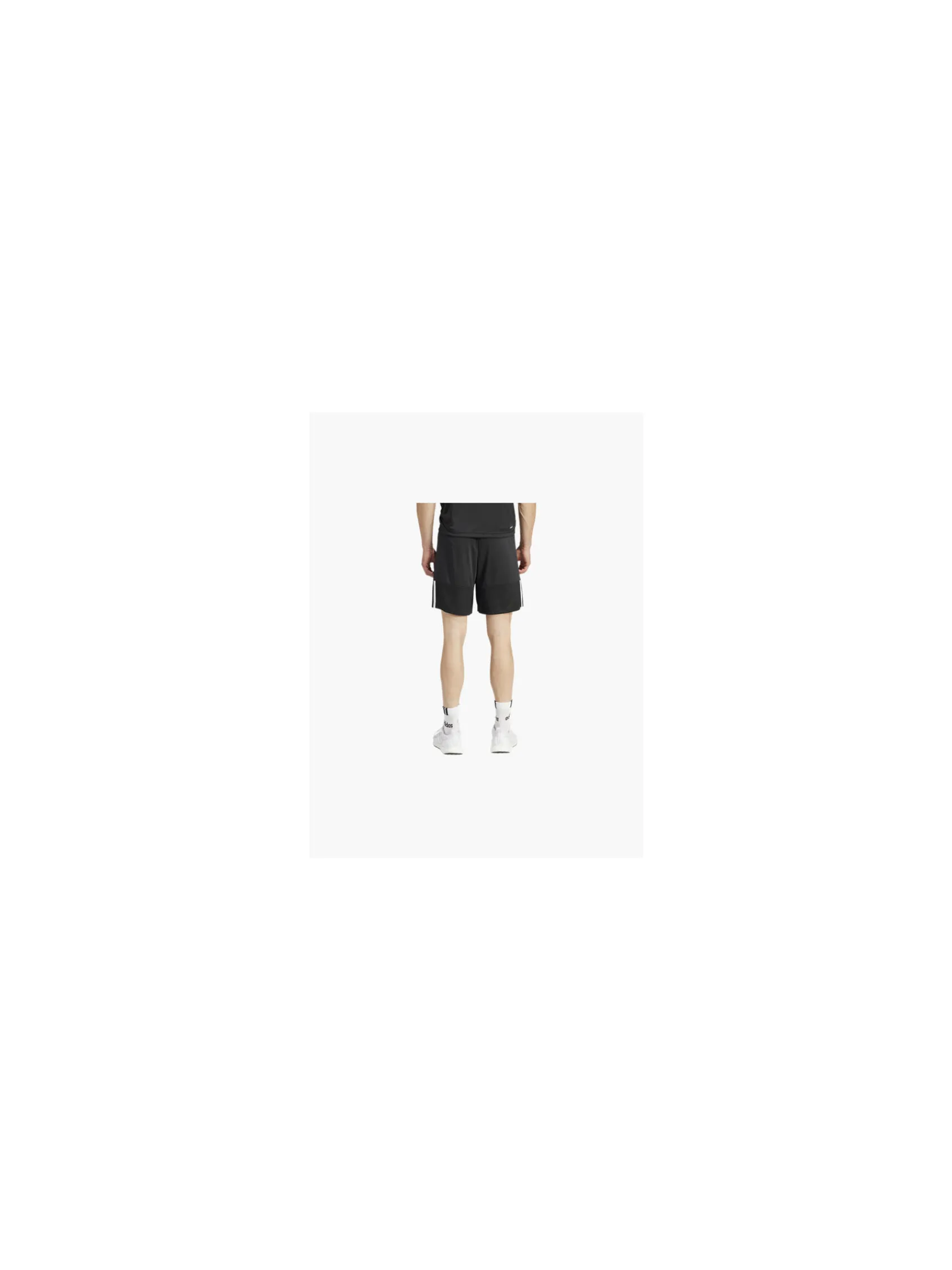 Herren adidas Shorts