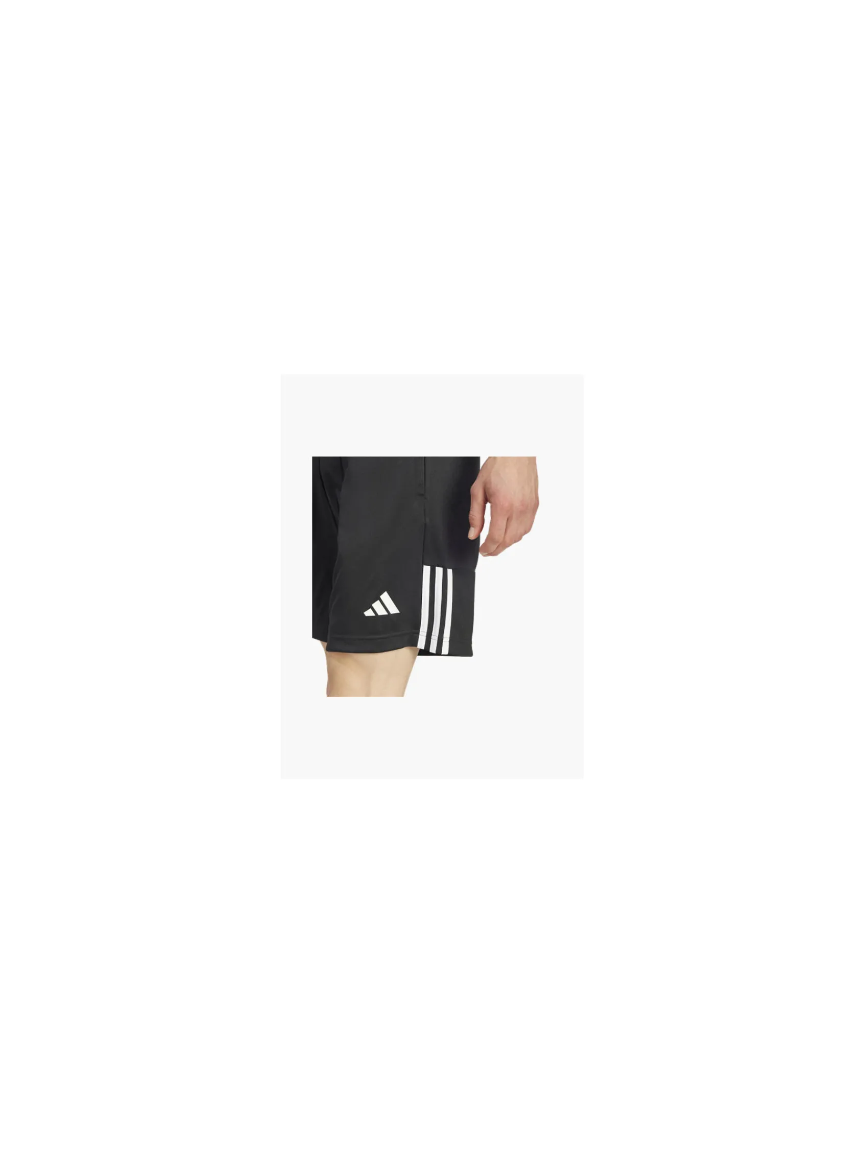 Herren adidas Shorts